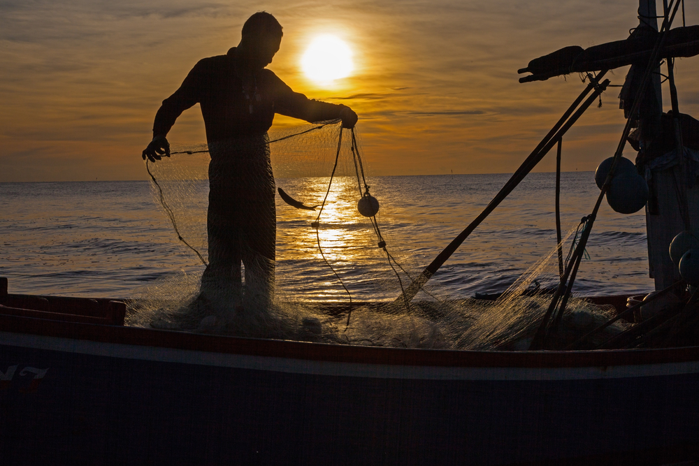 Fishing Leaders Attack Attenborough Film as Tear-Jerk Propaganda’