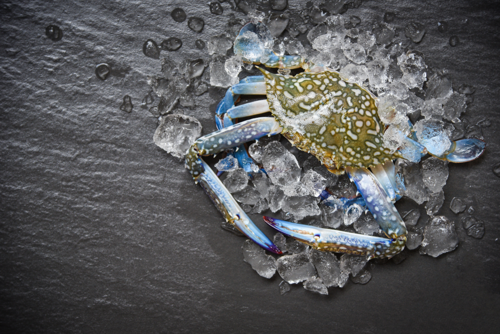 Court Closes NRDC Lawsuit That Forced MMPA Seafood Import Rules Into Effect