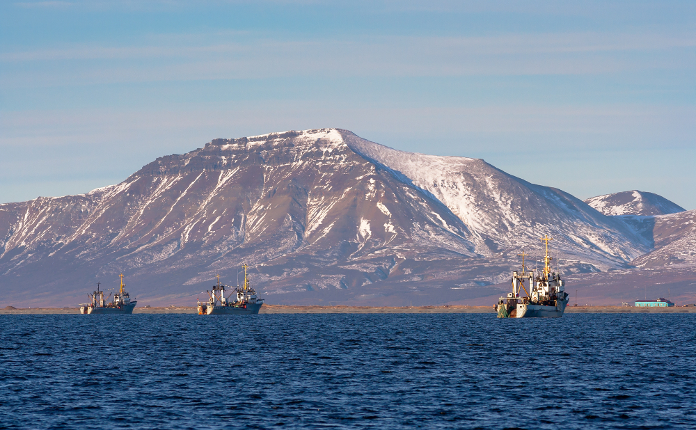 Russian Fisheries Head: Fish Sector Stay Afloat Despite Unprecedented Sanctions