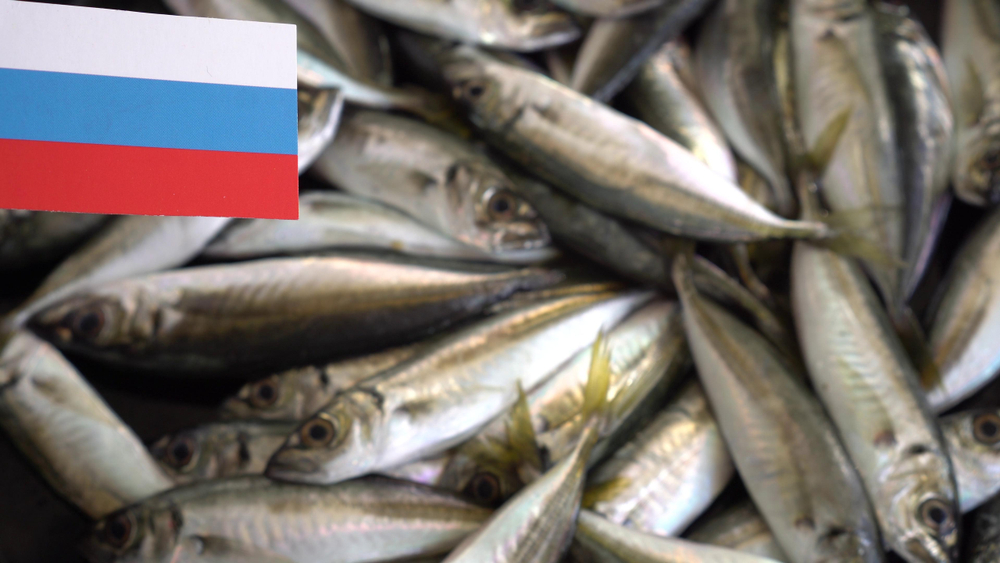 Russia Reduces Fish and Seafood Imports by 11% Through 9 Months