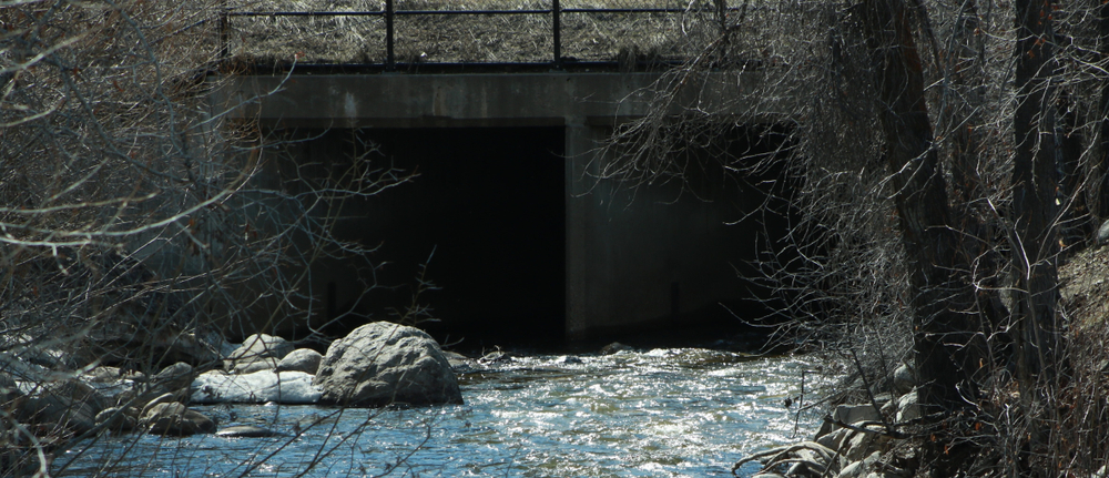 Feds Cut $9M for Down East Coastal Restoration Project
