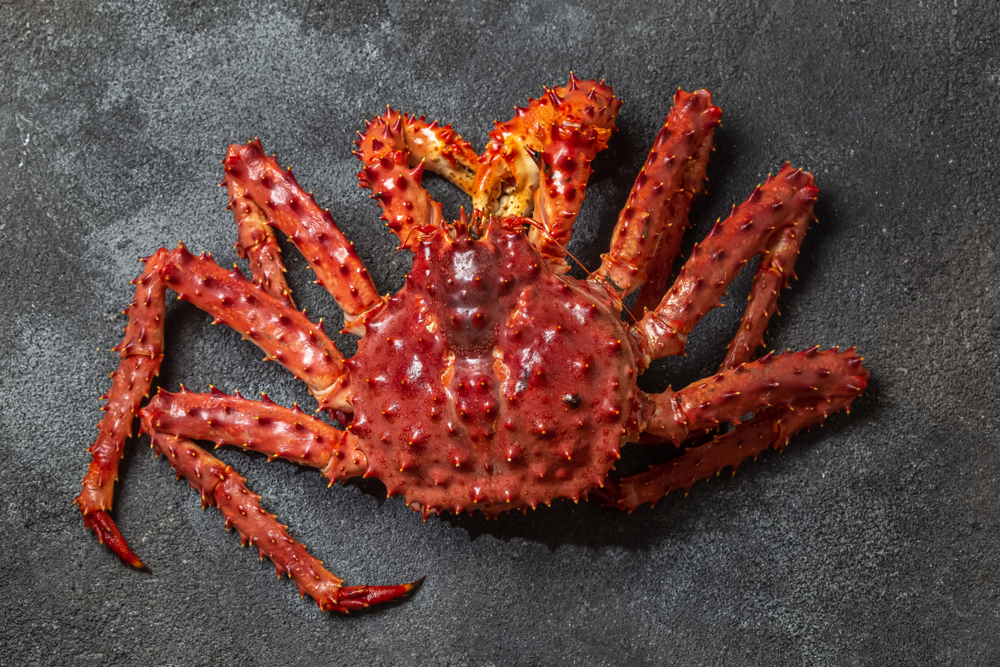 Norwegian Government Warns Of Potential Reduced King Crab Quota Next Year