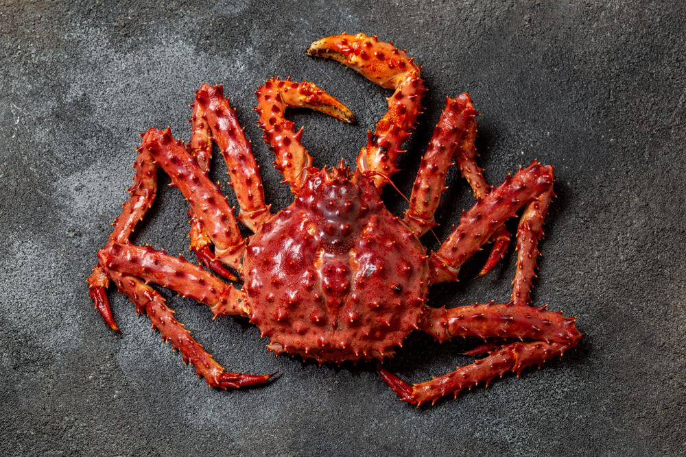 Nissui to Import 35 Tons of U.S. King Crabs at Record Domestic Price