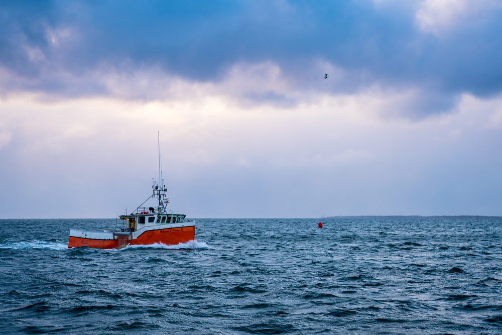 Feds, Sipeknekatik First Nation Fight Nova Scotia Fishermens Request for Court Clarification on M