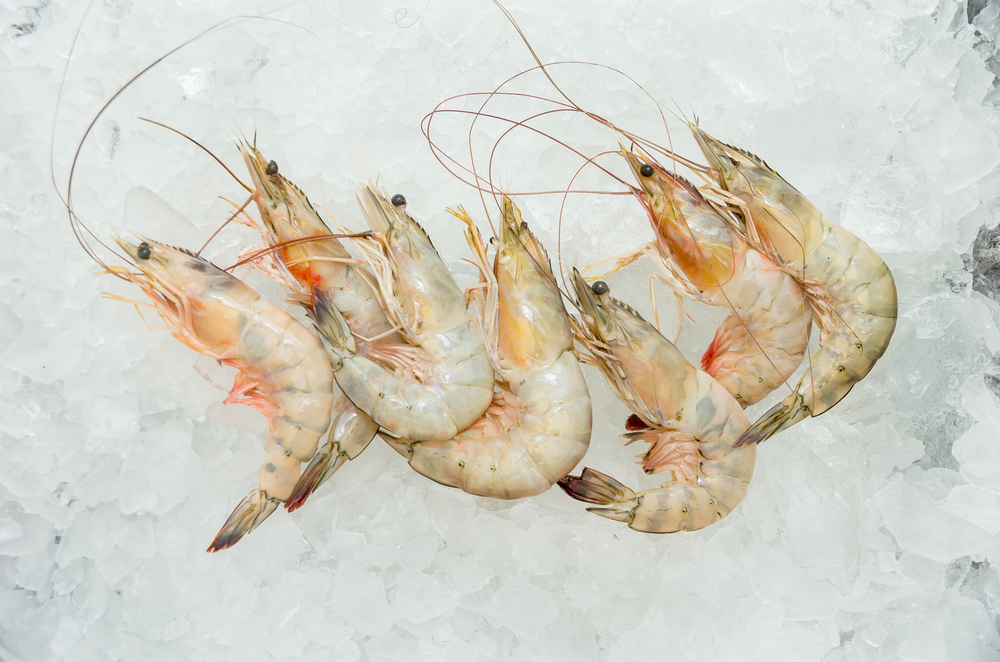 Foreign Shrimp Enjoying Greater Popularity in China