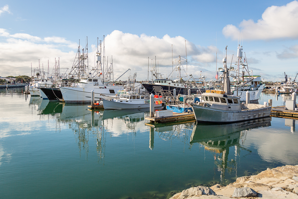 In the Curators Words: Maritime Museum Dives Deep Into San Diegos Commercial Fishing Industry