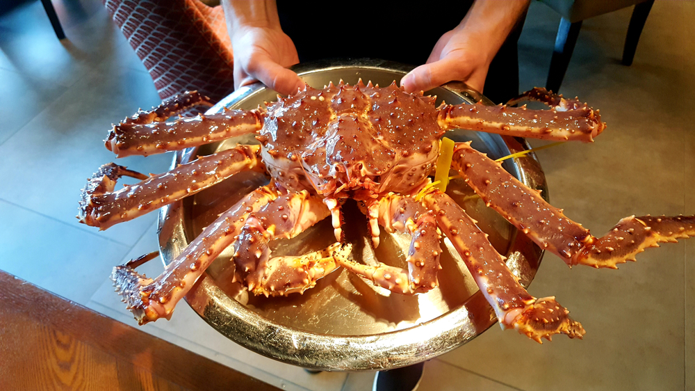 Chinas Russian Live Crab Imports Hit Record High in 2024, Up 17% to 35,000 MT