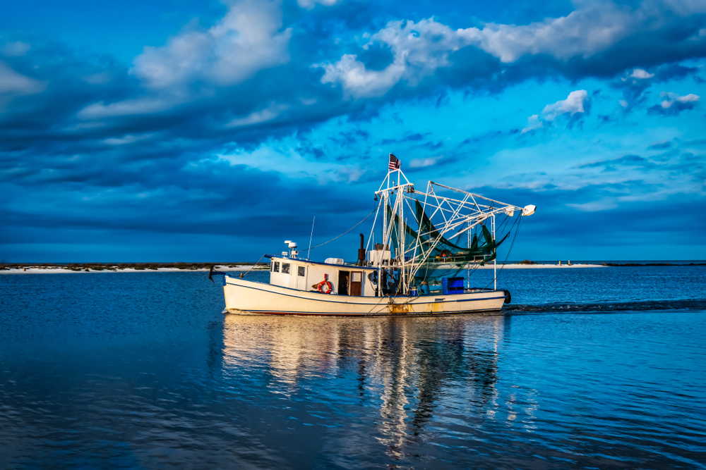 Texas: Commercial Gulf of Mexico Shrimp Season Opens July 15
