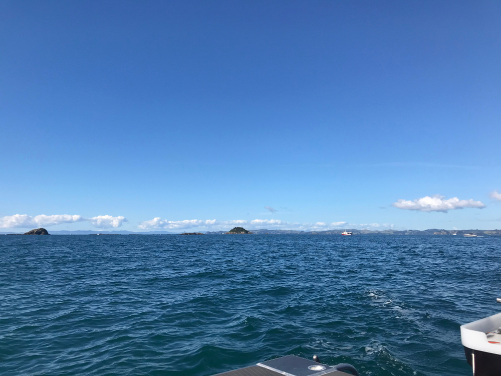 Why Commercial Fishing is Still Being Allowed in Protected Hauraki Gulf Zones