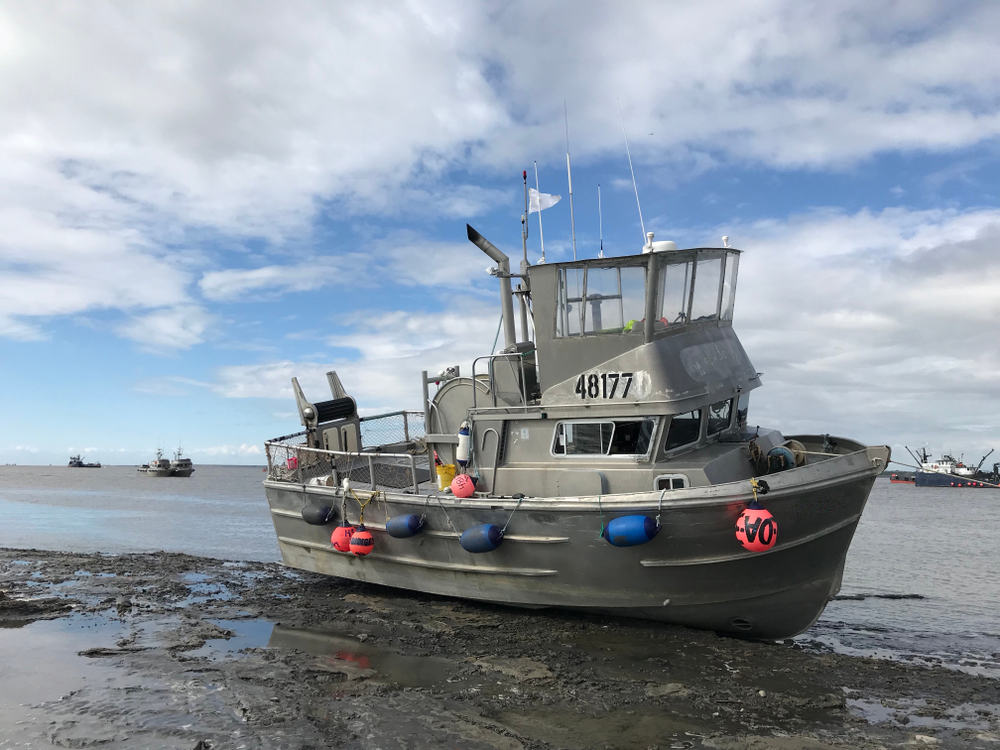 Bristol Bay Gears up for Salmon Season