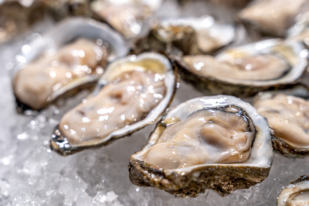 FDA Warns Against Recalled Washington Oysters Tied to Norovirus-Like Illnesses