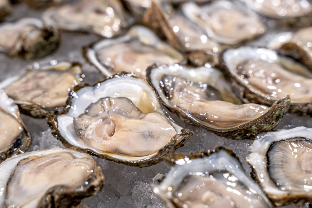 Australis Aquaculture Marketing Director Julie Qiu Departs to Launch Oyster Master Guild