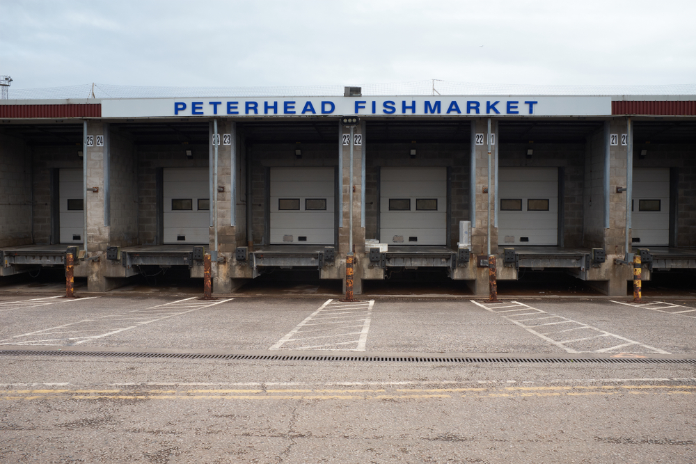 Peterhead Busts Record for Annual Fish Landings by Value