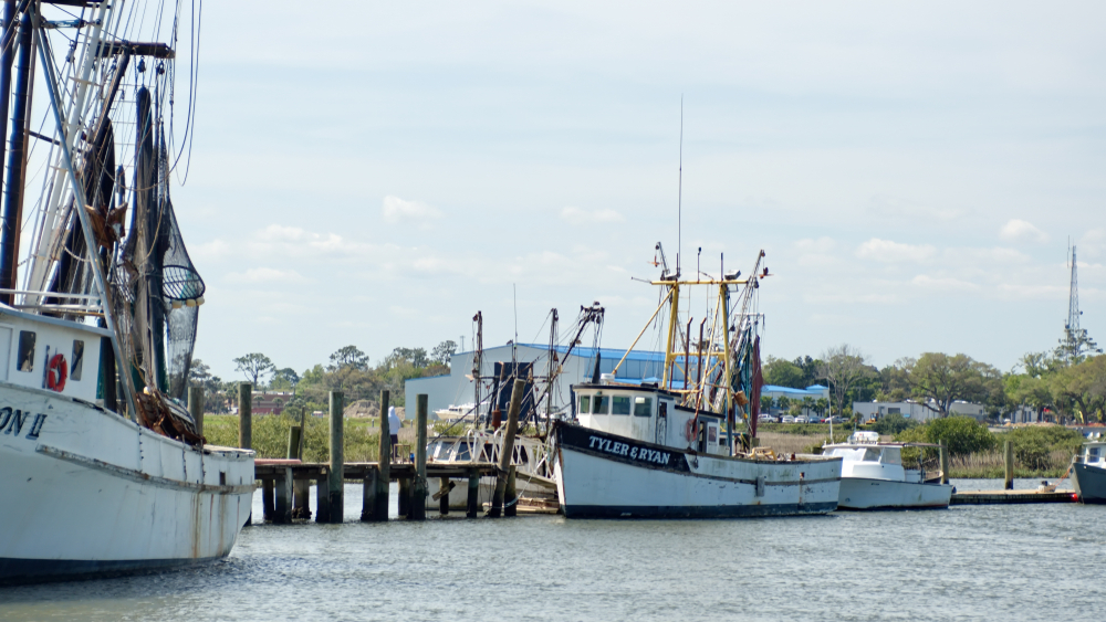 Fisherman Lied About How Much Grouper and Tilefish He Caught in SC. Now He is Off to Prison.