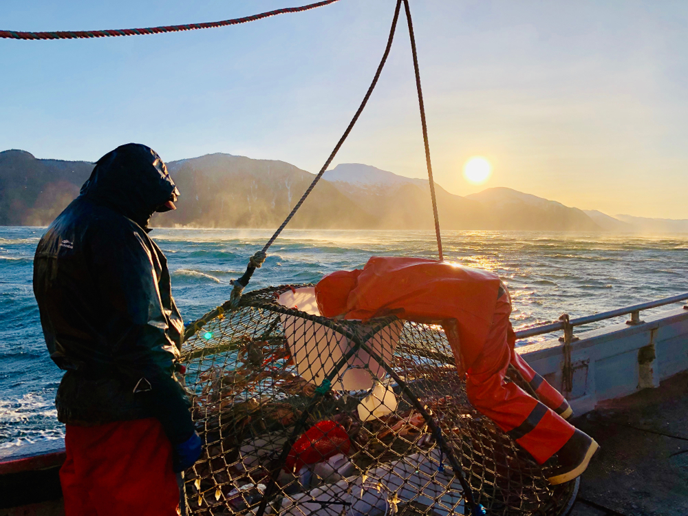 Gulf of Alaska Crab GHLs Set for 2022 at 1.8 Million Pounds
