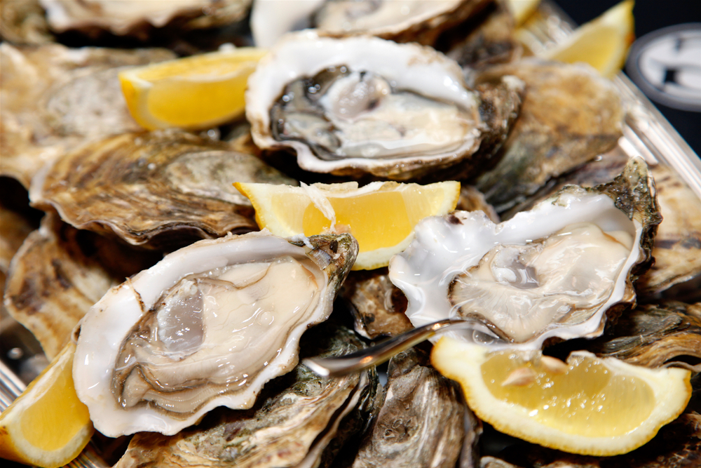 Slurping Toward Nirvana on the Maine Oyster Trail