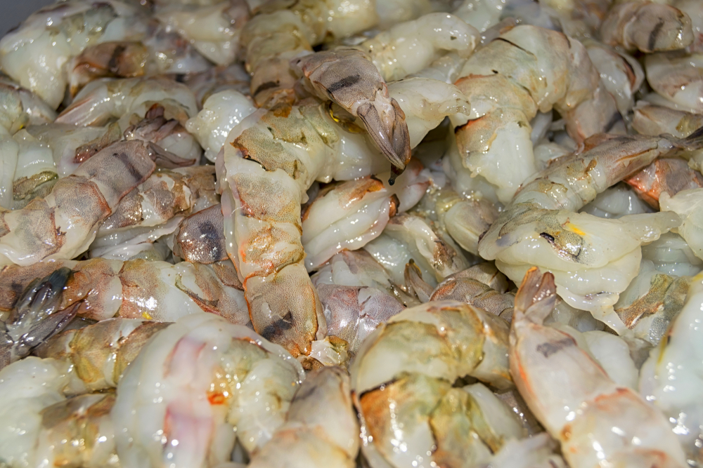 Russia Ramps Up Seafood Exports in Push for Additional Revenue