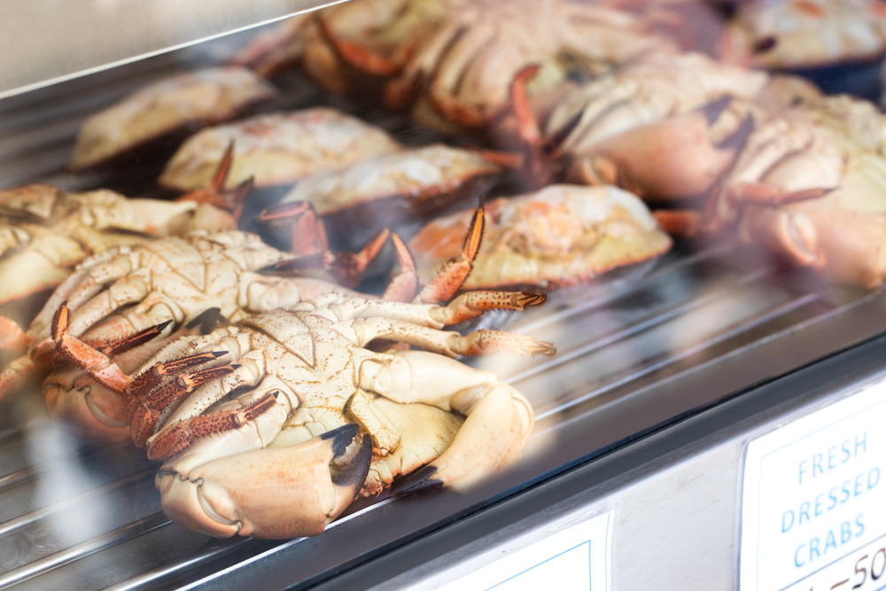 Closure-Threatened Factory Blames Wind Farms for Fewer Crabs in Norfolks Waters