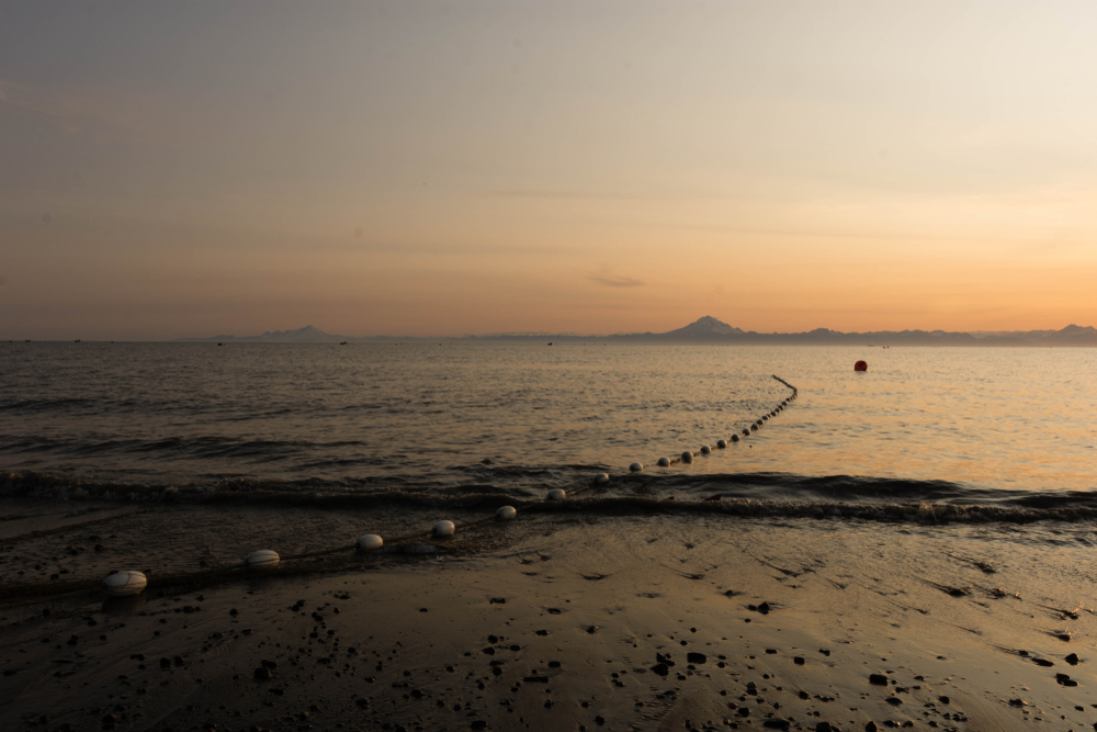 Court Affirms Split Federal-State Cook Inlet Salmon Management System