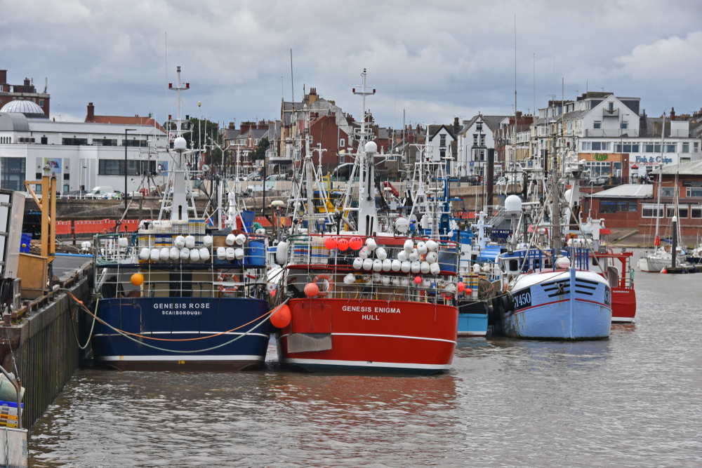 Campaigners Urge UK MPs to Put Fisheries Transparency at Heart of New Action Plan