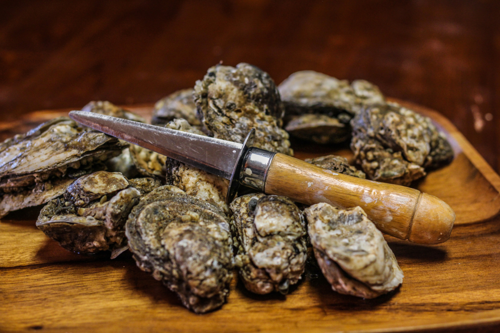Chesapeake Bay’s Oysters Set to Stage a Comeback From This Seafood Processing Site