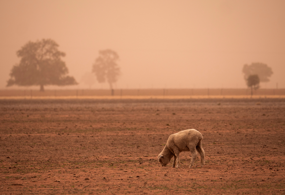 Australia Warns of Cascading Climate Risks Ahead of Emissions Target Announcement