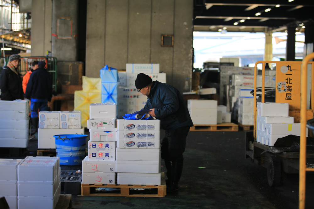 Japans H1 Seafood Export Value Rose 24% Driven by a 69% Increase in Yellowtail