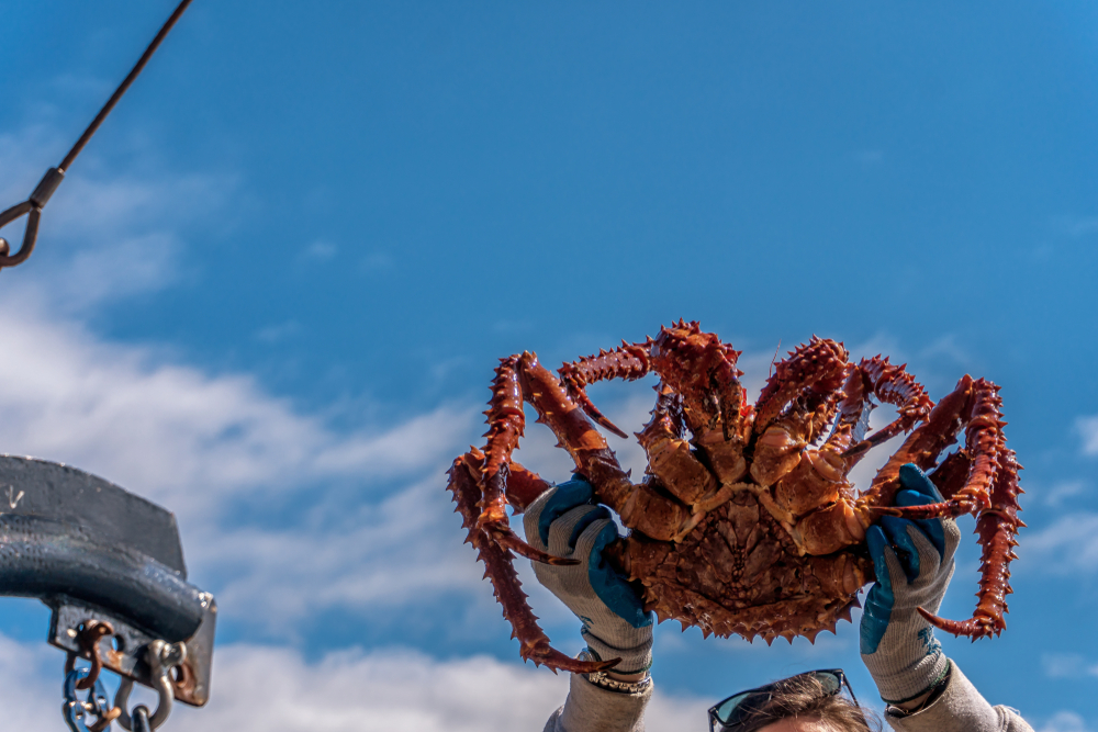 Unalaska Formally Accepts Disaster Relief, Three Years After Crab Crash