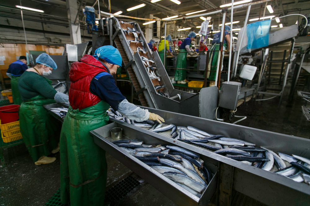 Russia Fears Introduction of Export Duties on Fish - Fish Union