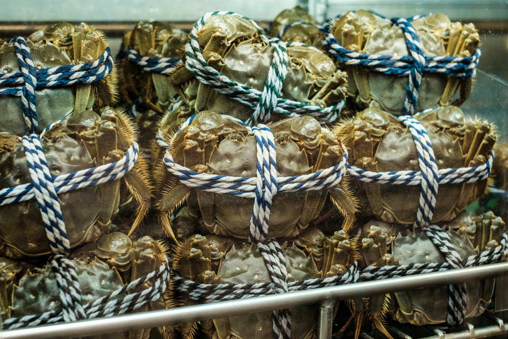 FEHD and Hong Kong Customs Continue to Inspect Premises Selling Hairy Crabs in Various Districts