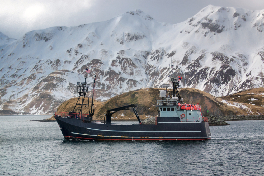 Gulf Tanner Crabs and Dungeness Top the Bering Sea