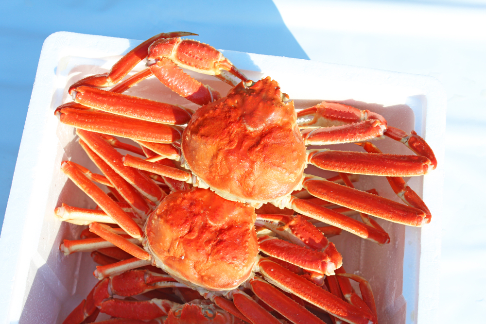 Japan: Russian Snow Crab Imports up 20% in January-October, Pushing Down US Imports by 30%