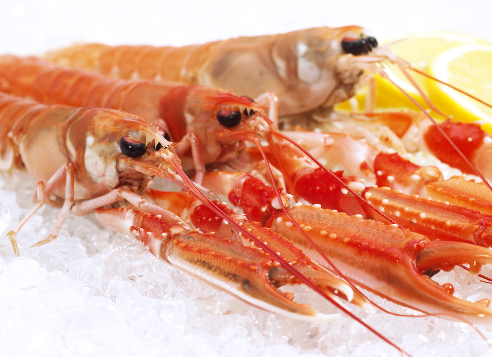 UK Scampi Fishery Hits Milestone in Improvement Plan