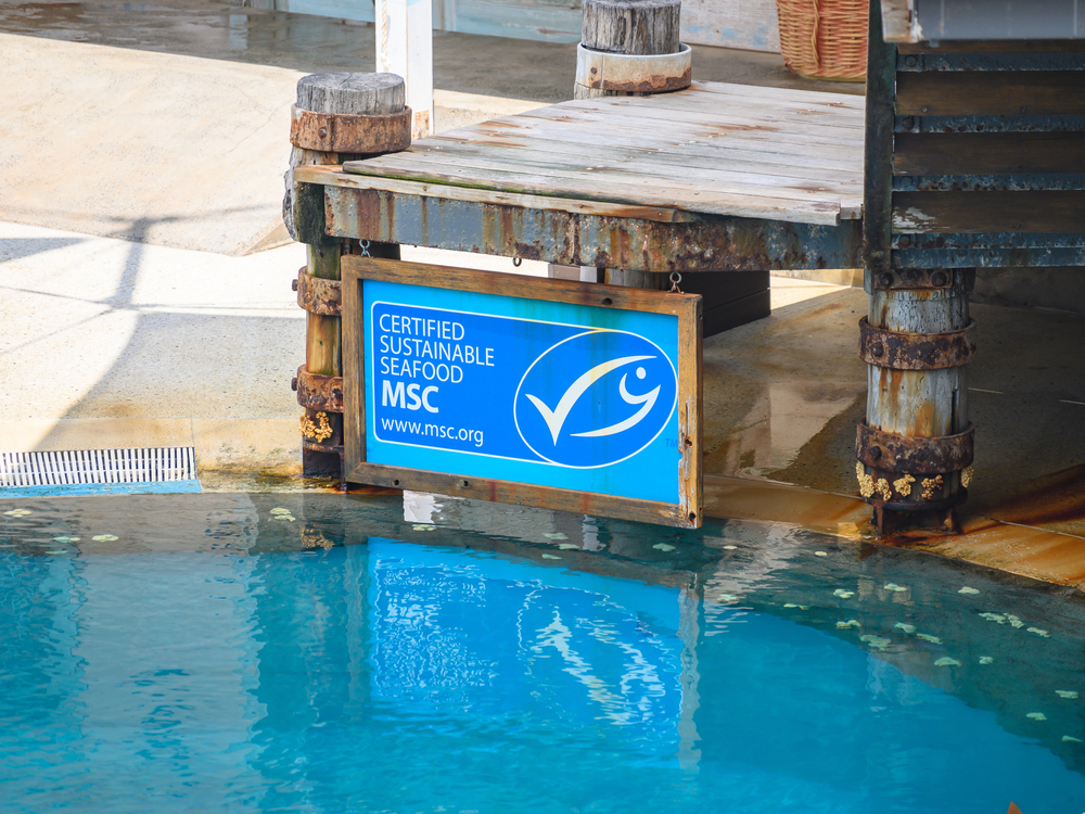 Canadians Want Sustainable, Traceable Seafood as Ocean Concerns Grow