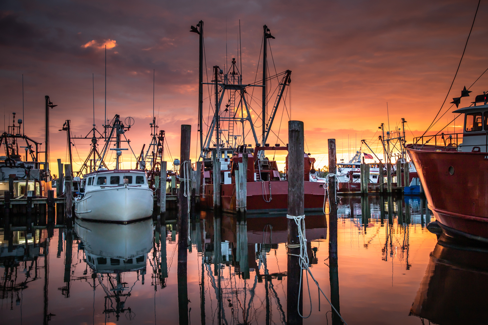SEAS Act Returns to Congress, Seeking Parity for US Seafood Producers in USDA Programs