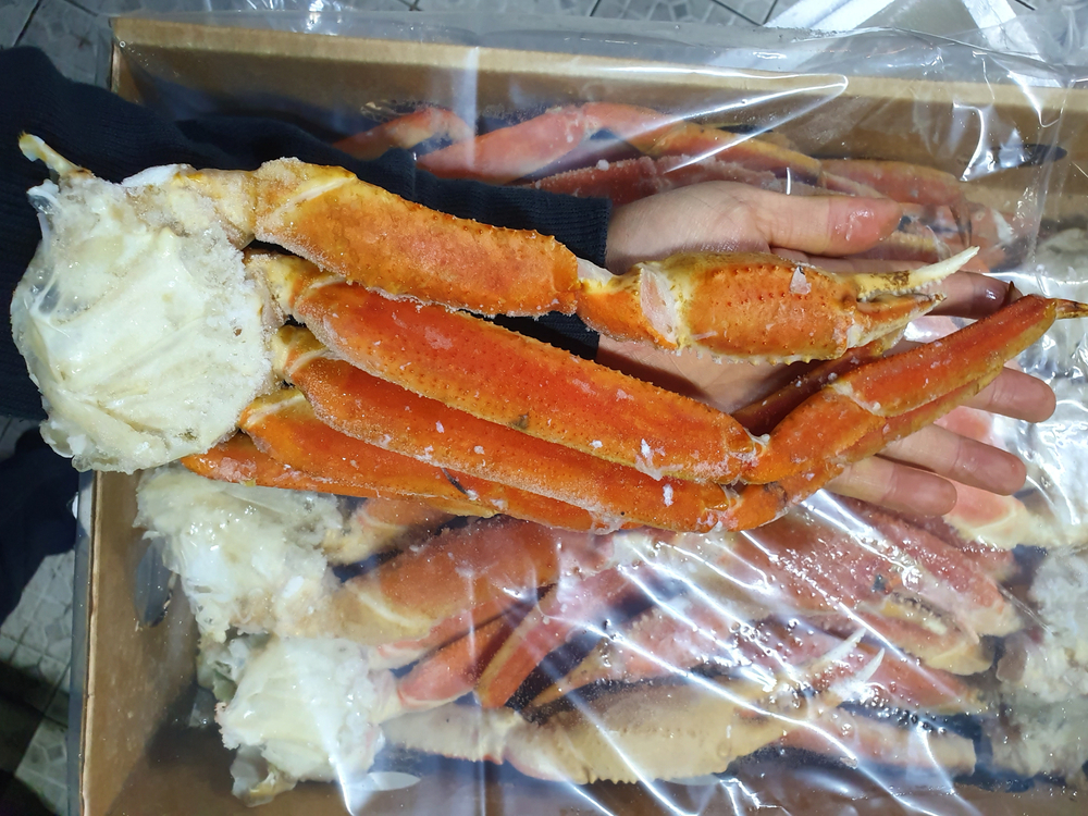 Bid Price for Frozen Russian Opilio Weakening by 10% at Busan Auction