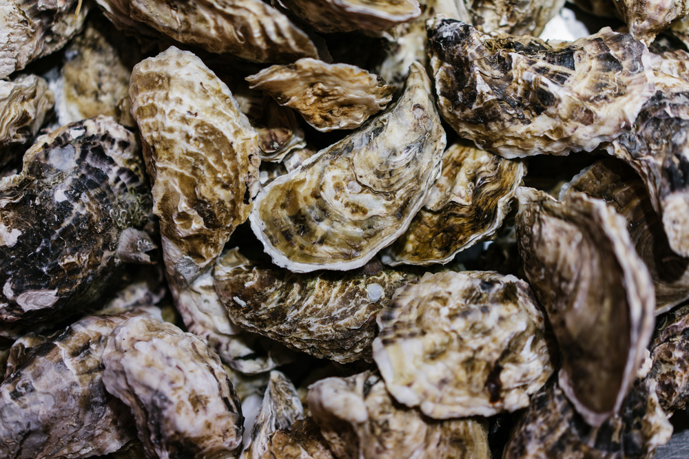 FDA Announces Additional Oyster Recalls Due To Potential Campylobacter