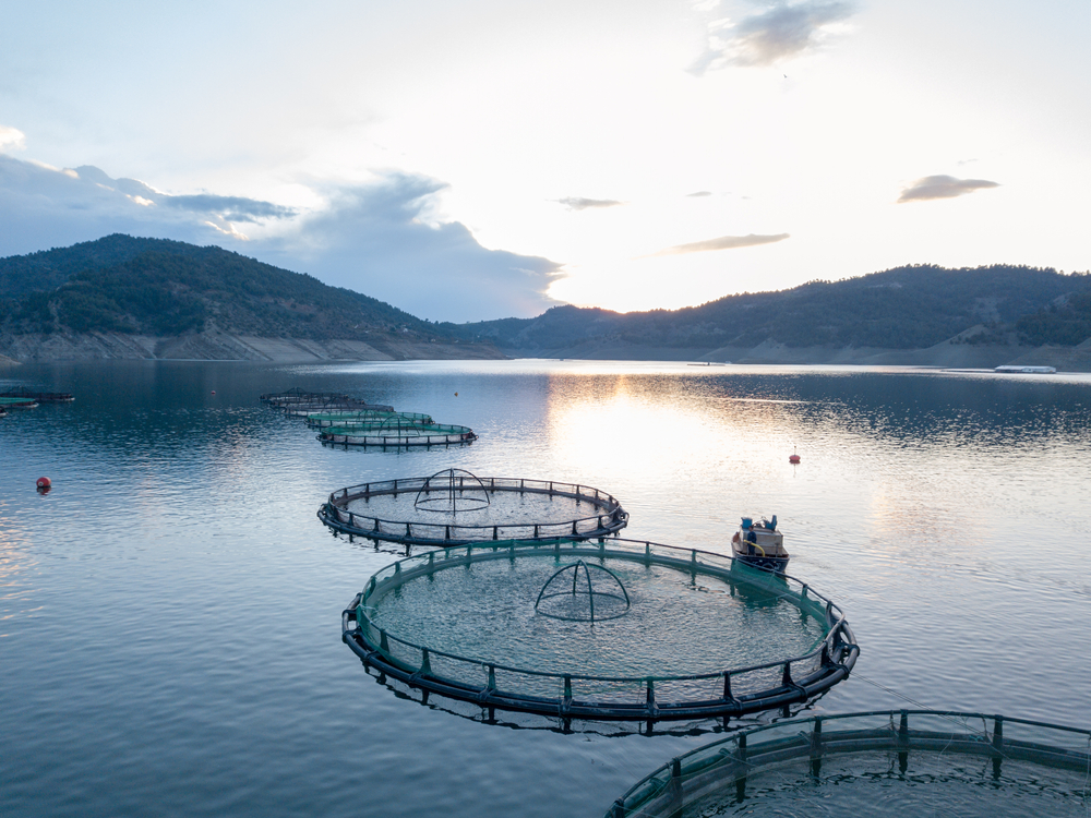 Eastern Shore Resident Advocates for Sustainable Seafood on Capitol Hill