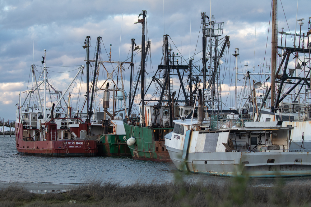 Congress Examines Chinas IUU Fishing Impact on US Seafood Markets