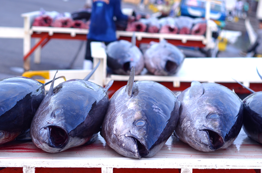 CBP Cracks Down on Tuna Origin Scheme, Targets Nearly $9 Million in Penalties