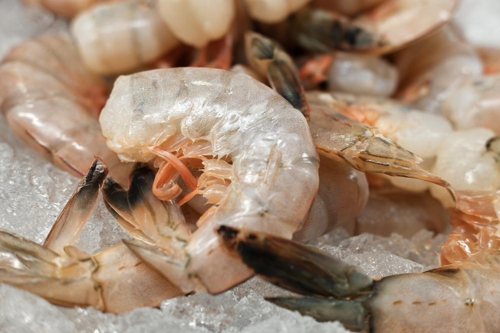 A Proposed Inland Trawling Ban Left NC Shrimpers Boiling Hot. Now What Happens?