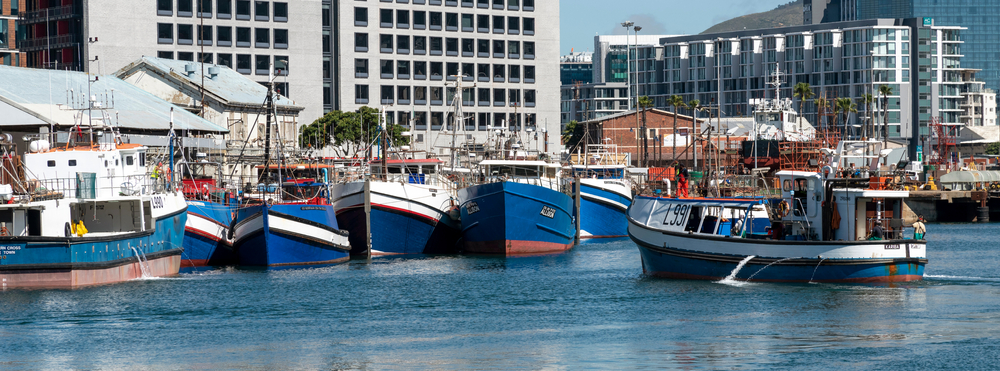 Securing Tomorrow’s Catch: Why SA Retailers are Investing in Sustainable Fishing