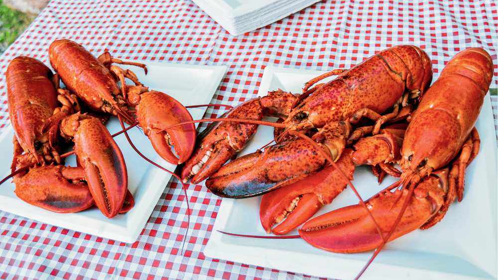 N.B. Lobster Industry Worried About Prices as Season Begins