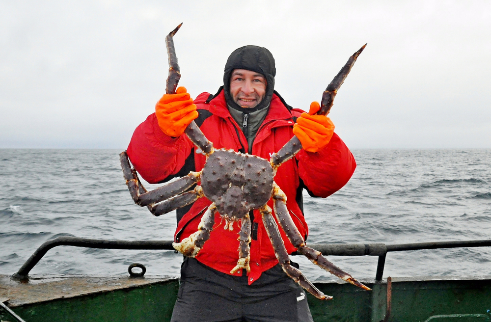 Russian Frozen King Crab Half Price, Tsukiji Kanisho Securing 1,000 Tons