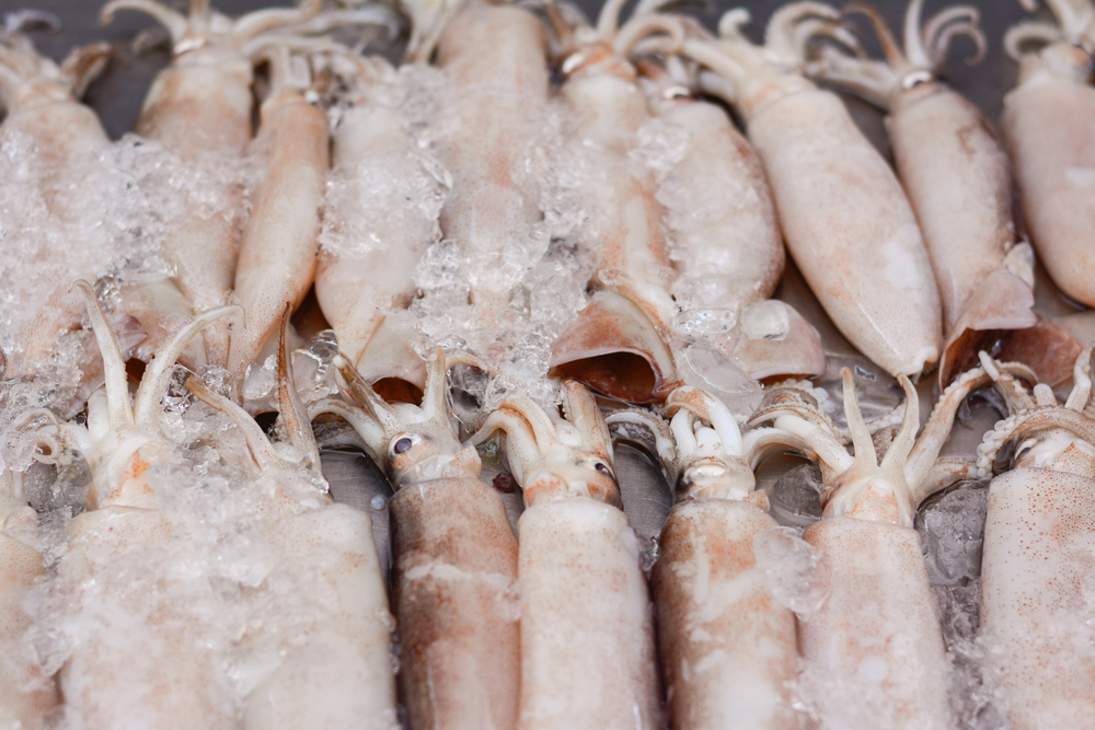 Lack of Squid Complicates Seafrosts Frozen Products: Its Bet on Canned Products