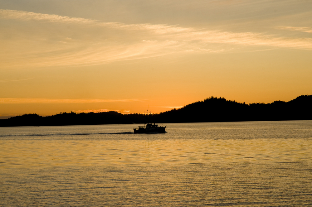 Man in Stolen Boat Fires Flares, Tries to Ram Police Vessel Off Prince Rupert Coast, RCMP Say