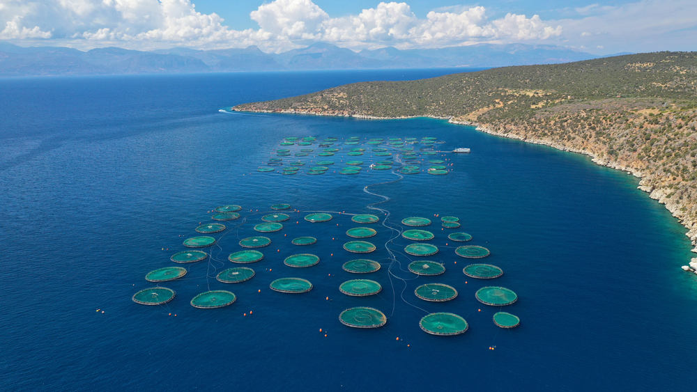 ICFA Panel to Explore Biodiversity and Global Food Security at Seafood Expo Global