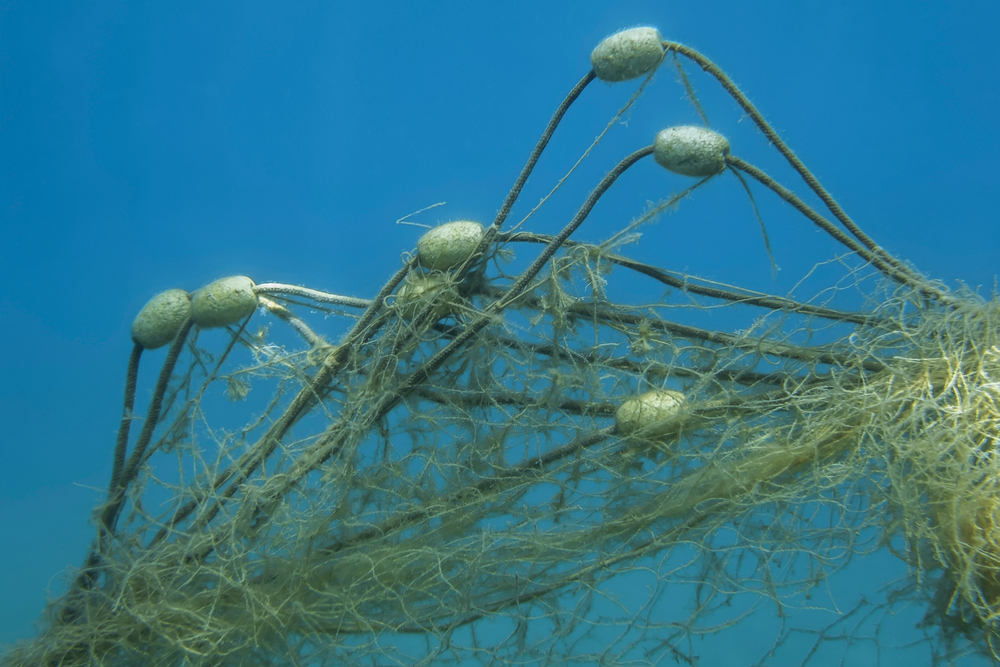 Tens of Thousands of Canadian Marine Animals Killed or Maimed by Ghost Gear