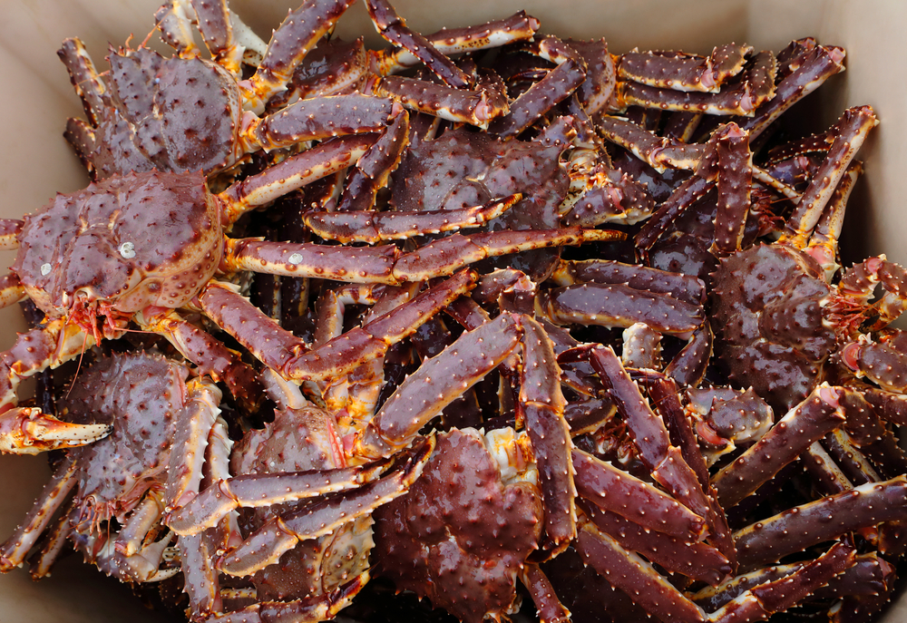 Russian Crab Producers Eye Possibility of Chinese Exports