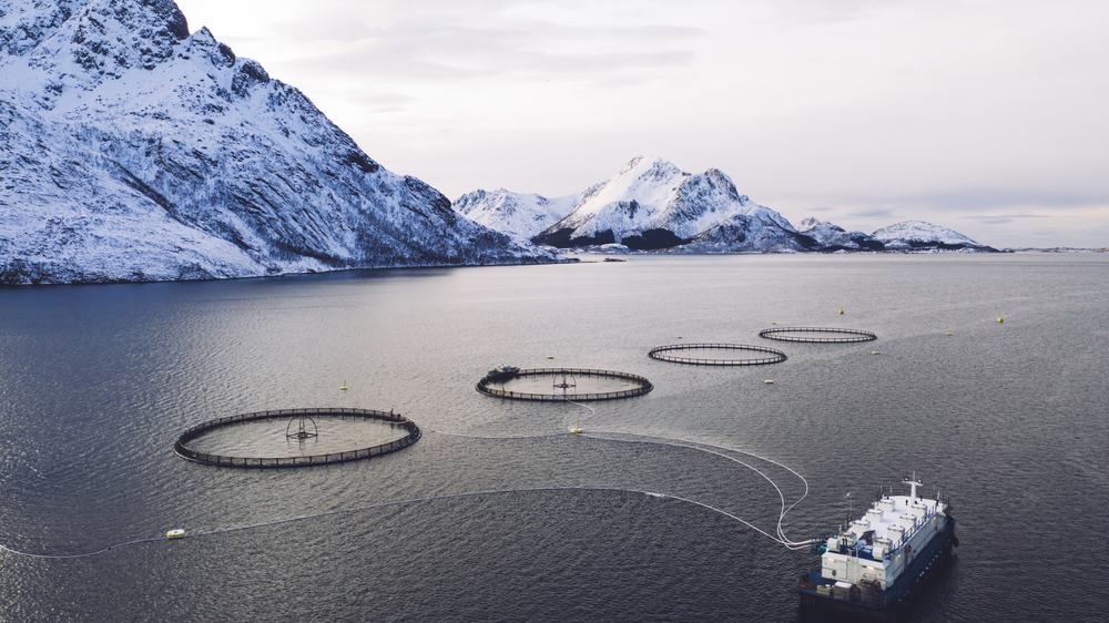 Changes Coming to Norway’s Salmon Tax Plan
